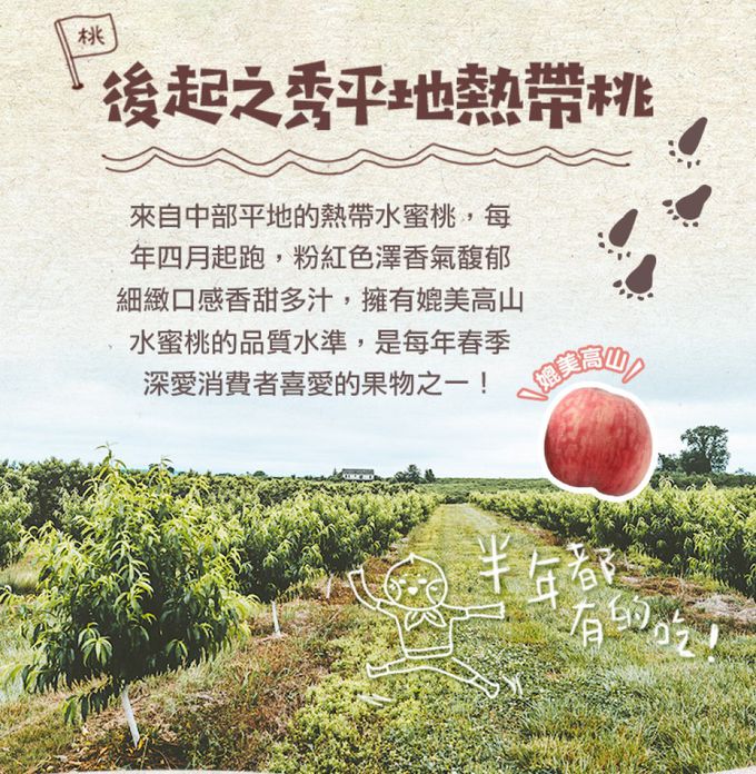 愛品鮮 - 台灣鮮採水蜜桃1箱(6入裝/1公斤±10%/箱)