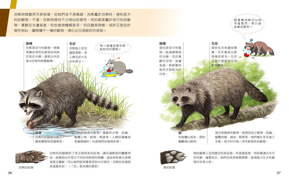 一樣不一樣：陸生動物【A級福利品特惠】-全彩 (單本)-精裝
