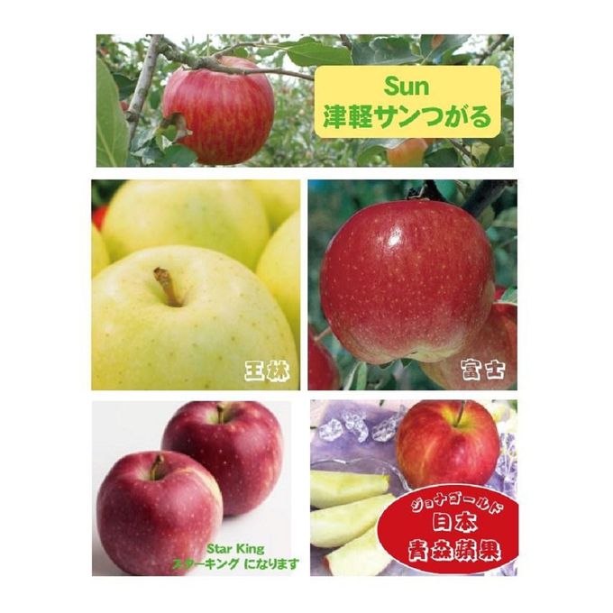 日本青森 - 蘋果汁 720ML 六入裝 禮盒