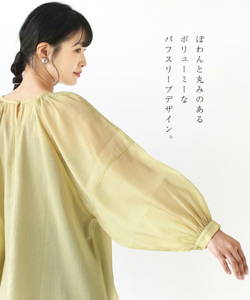 日本 zootie - 空氣感透膚優雅泡泡袖上衣-焦糖棕