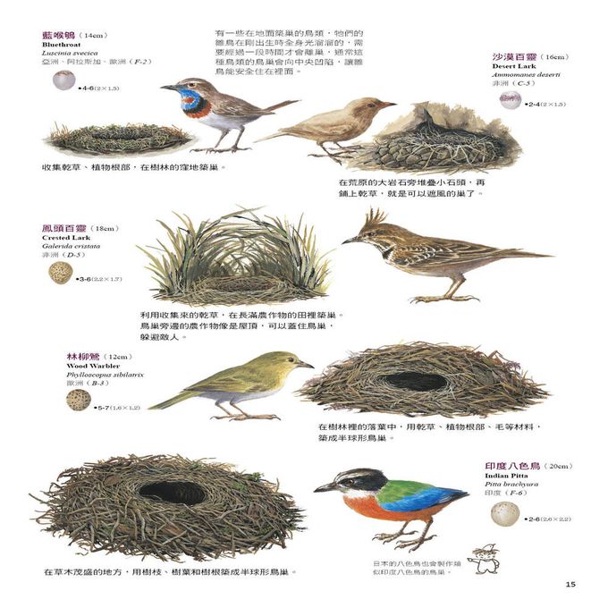 鳥類如何做各種巢