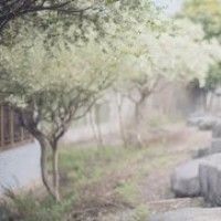 用戶頭像