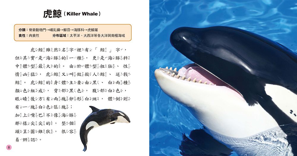 小百科圖鑑：海洋生物小百科-精裝