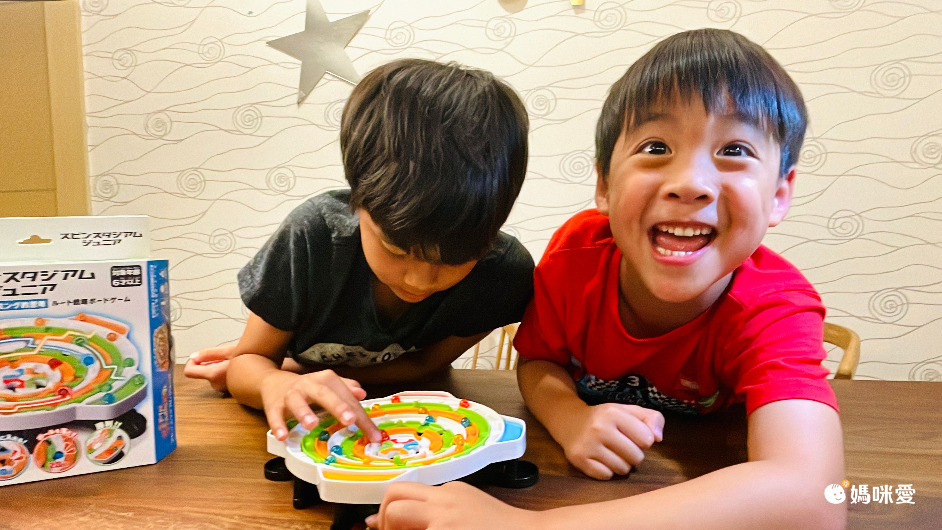 榮獲日本玩具大賞【HANAYAMA】腦力開發益智玩具