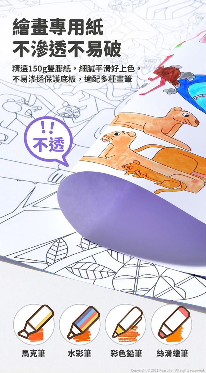 MiDeer - 世界塗色畫紙-北美洲