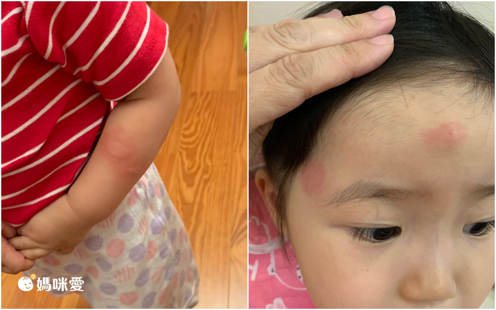 2in1日系美型捕蚊器/電蚊拍，三重防護網，安全不觸電