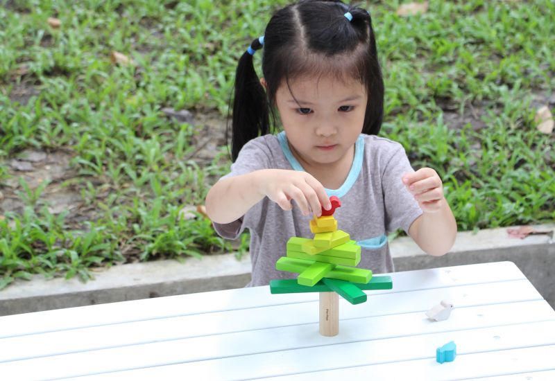 泰國 Plantoys - 積木平衡樹