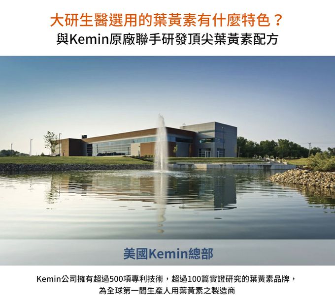 大研生醫 - 視易適葉黃素-(30粒/盒，共二盒)