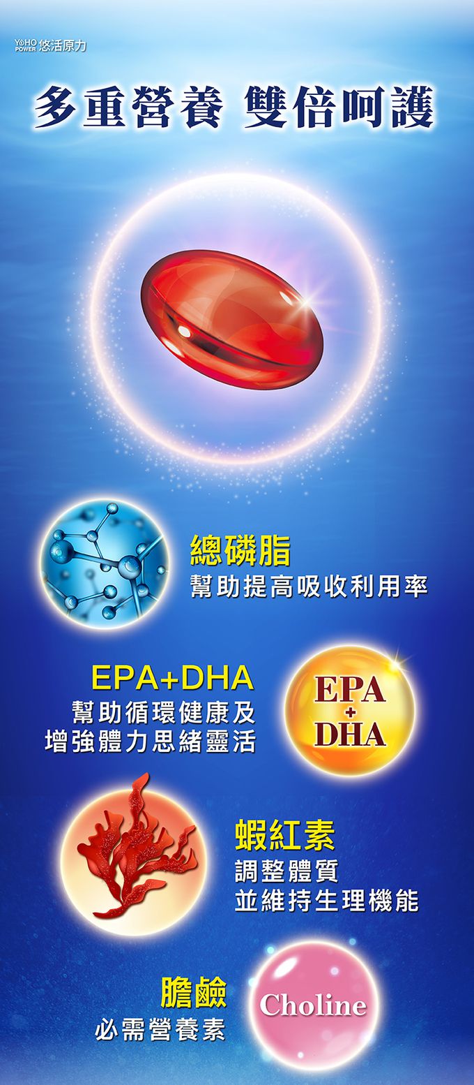 悠活原力 - 100%純淨南極磷蝦油-60粒/盒X3