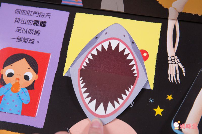 ★打造聰明好腦袋★益智翻翻小百科 / 童趣推拉轉操作書大集合！