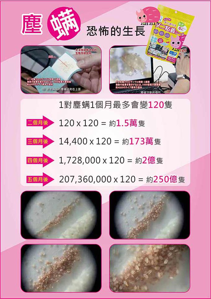 日本 沒螨家 - 【兩包組】塵蟎誘引去除劑6入/包