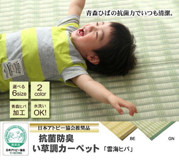 日本池彥 - 過敏協會認證 日本製防蟎蟲野餐墊 / 地毯(4-5人)-淺綠紋路 (174x174cm(江戸間2畳))