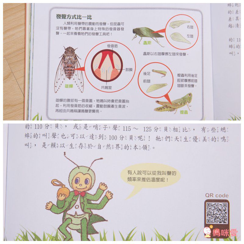 小牛頓科學教育有限公司 - PLAY&LEARN套書-平裝/附注音/貼紙+紙卡-全彩 (5-8歲)-全套二冊