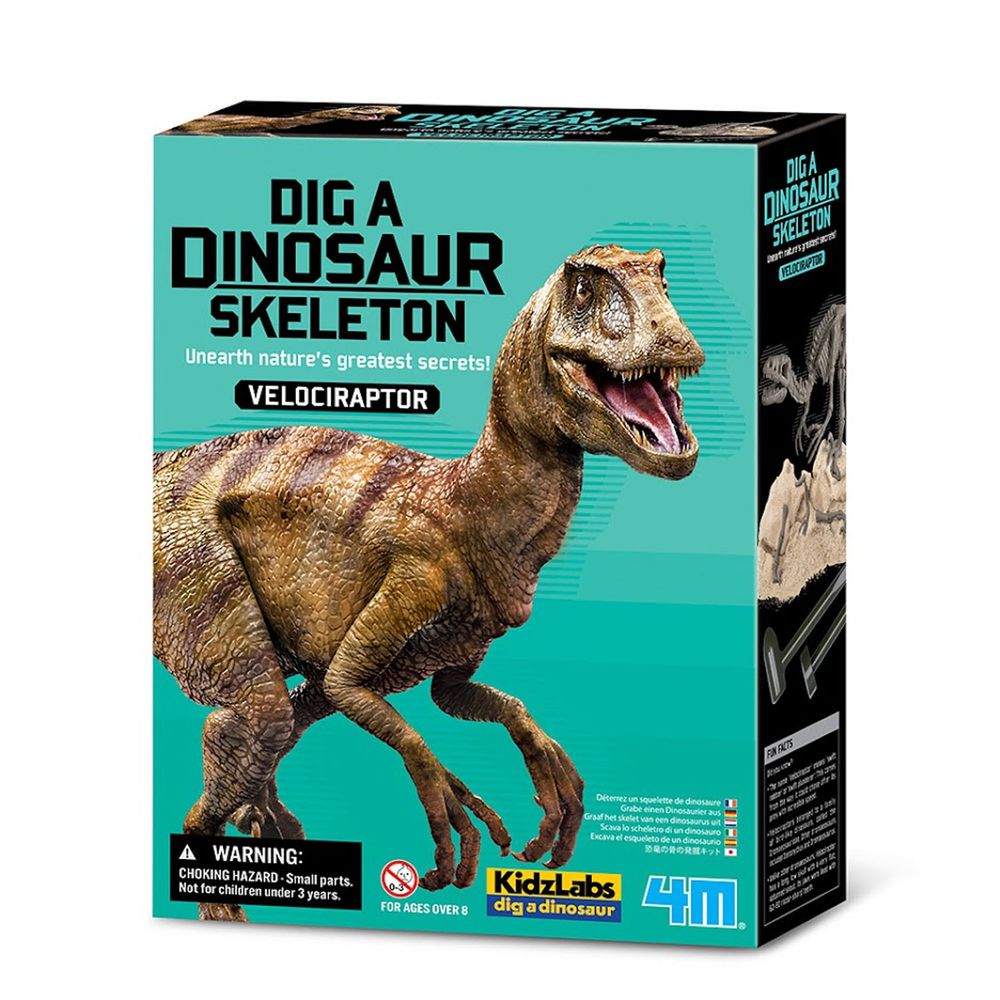 香港4M創意玩具 - 挖掘迅猛龍(新) Velociraptor Skeleton