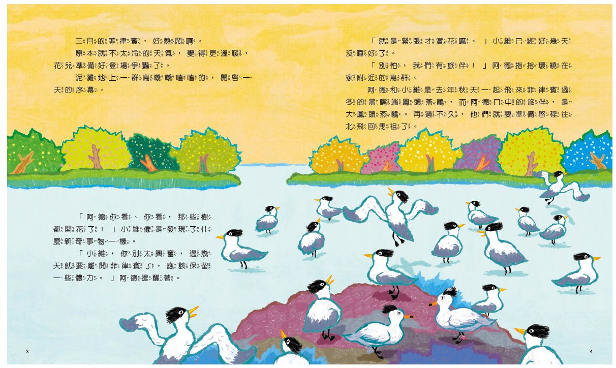 孩子的第一套STEAM繪遊書10 終於再見神話之鳥：看生物學家如何解開燕鷗的祕密(108課綱科學素養最佳文本)