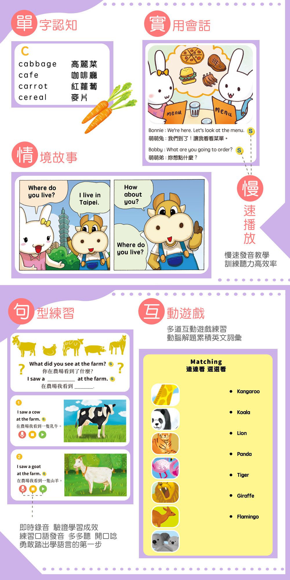 【狂銷百萬套組再升級】56件組左右腦開發寶盒/點讀全攻略