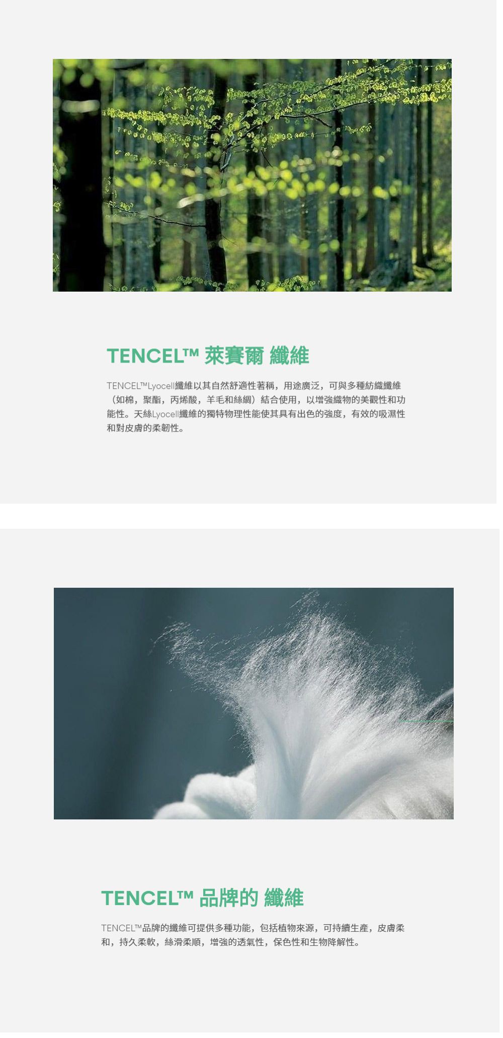 飛航模飾 - 100%天絲雙面夏涼被-150×195cm-雲淡風輕-紫 (150×195)