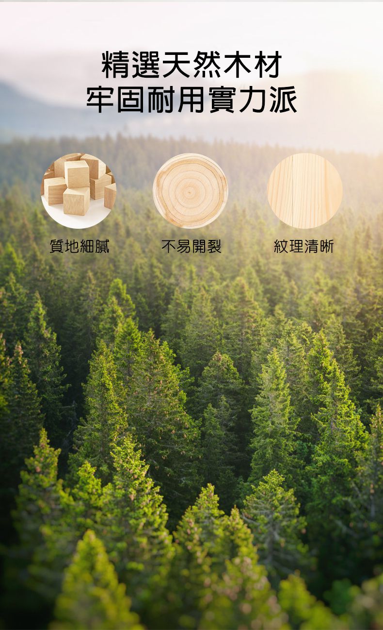 MiDeer - 小豬搭木棍