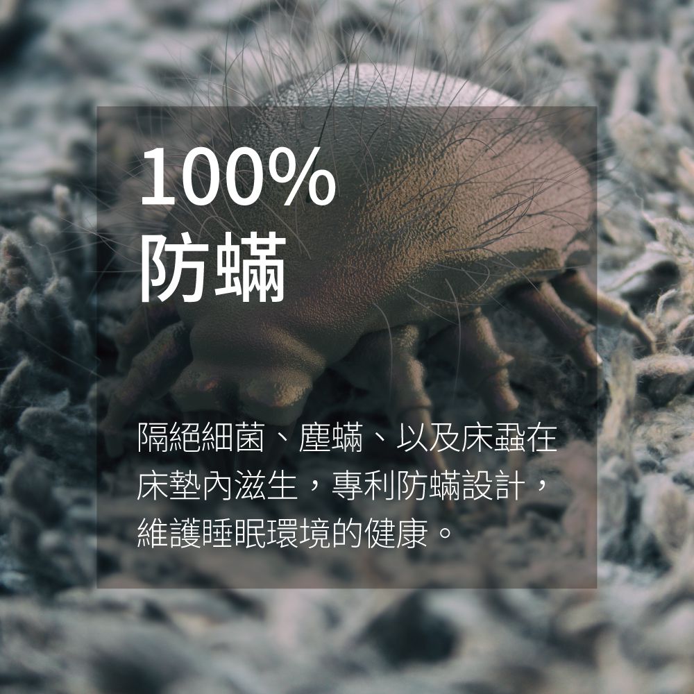 美國寢之堡 - 全密封拉鍊式防螨床墊套（全包式保潔墊）-白 (單人-105x190x25cm)