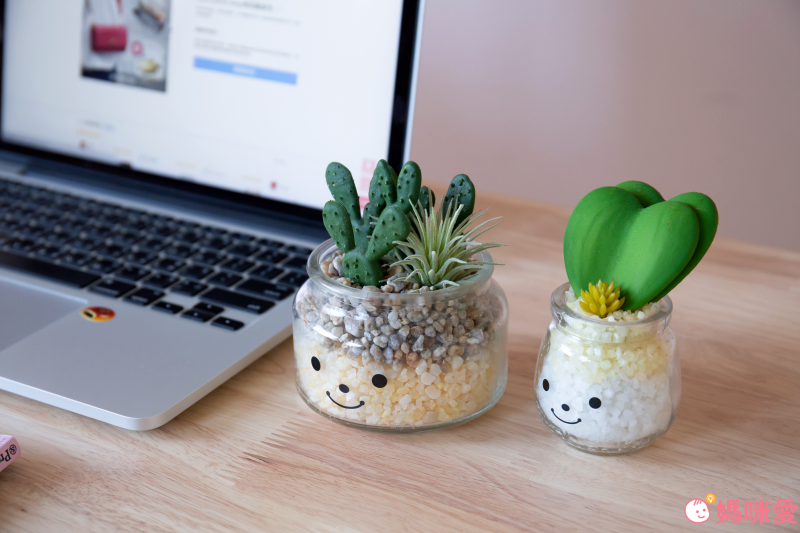 日本 KISHIMA - CT觸媒 開運消臭仿真多肉盆栽-成長-Daniel (L(φ10x11.5cm))