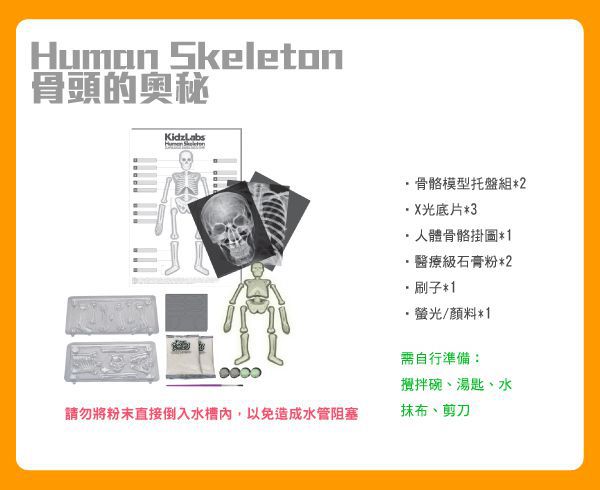 香港4M創意玩具 - 骨頭的奧秘 Glow Human Skeleton