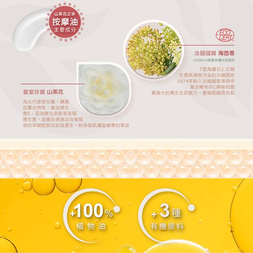山茶花之孕撫紋按摩油-90g