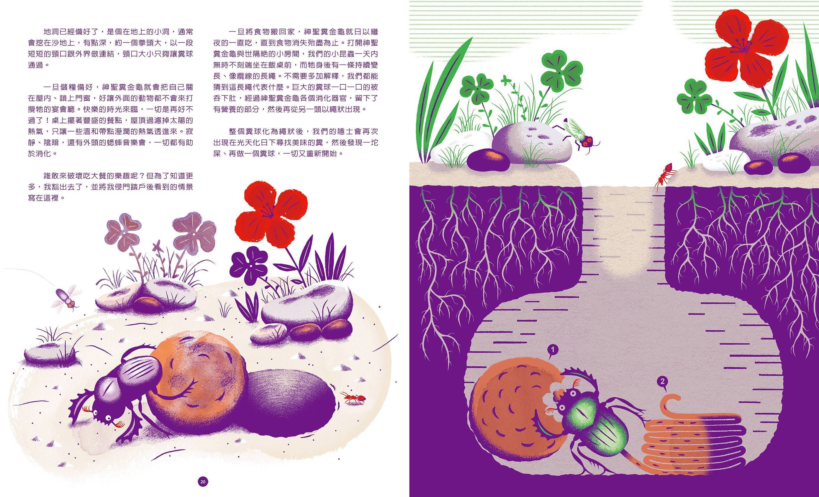 法布爾的微觀世界：昆蟲觀察X科學實驗X自然書寫