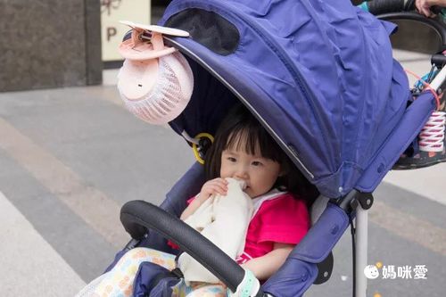 推薦：<em>嬰兒推車、嬰兒床、上班辦公室使用</em>（桌子較擁擠）<br /><br />夏天的推車就像小暖爐，帶寶寶出門真的要有風扇散熱呀～夾式小風扇可以夾在推車、嬰兒床，寶寶就不怕熱了喔～或是媽咪辦公桌比較擁擠，也可以使用夾式，不會多佔空間。編媽會建議有<span>風扇保護罩，避免寶寶的手誤觸割傷。</span>