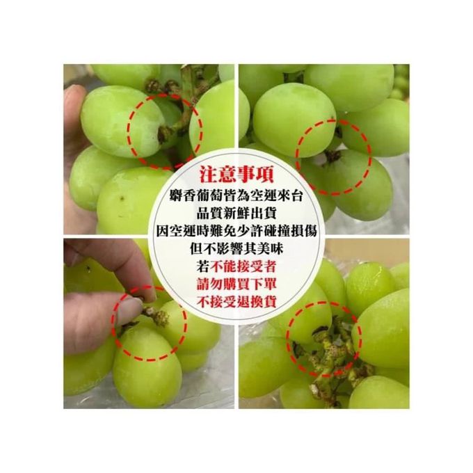 【日本空運直送麝香葡萄】✧中秋精緻送禮✧今年僅此一檔！