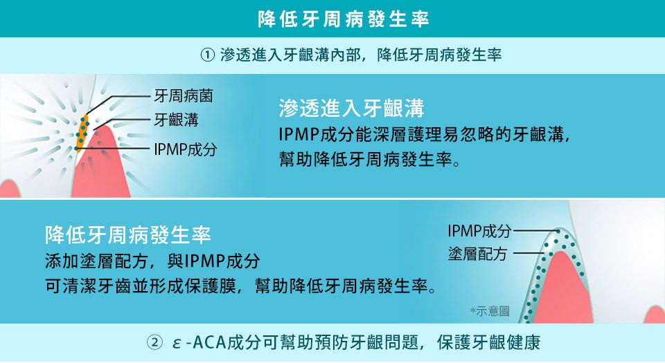 日本 LION 獅王 - 細潔浸透護齦EX牙膏-草本溫和