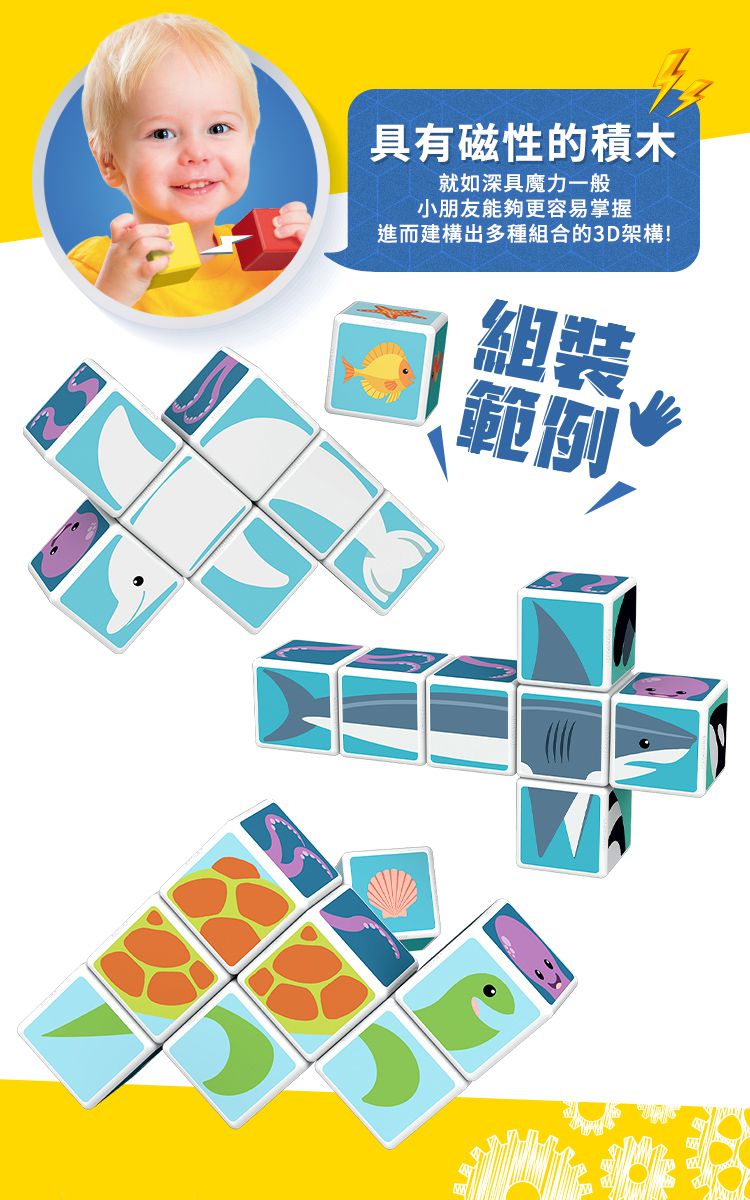 瑞士 Geomag - Magicube 磁性積木-海洋動物主題 8塊組