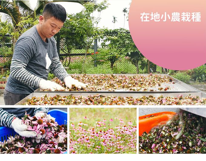 花賜康 - 寶貝護體飲-10ml-10瓶/盒*3