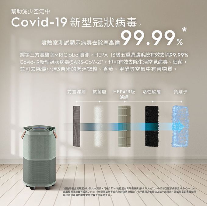 Electrolux 伊萊克斯 - 高效能抗菌空氣清淨機Pure A9.2(22坪內適用)-EP71-56GRA-海洋綠