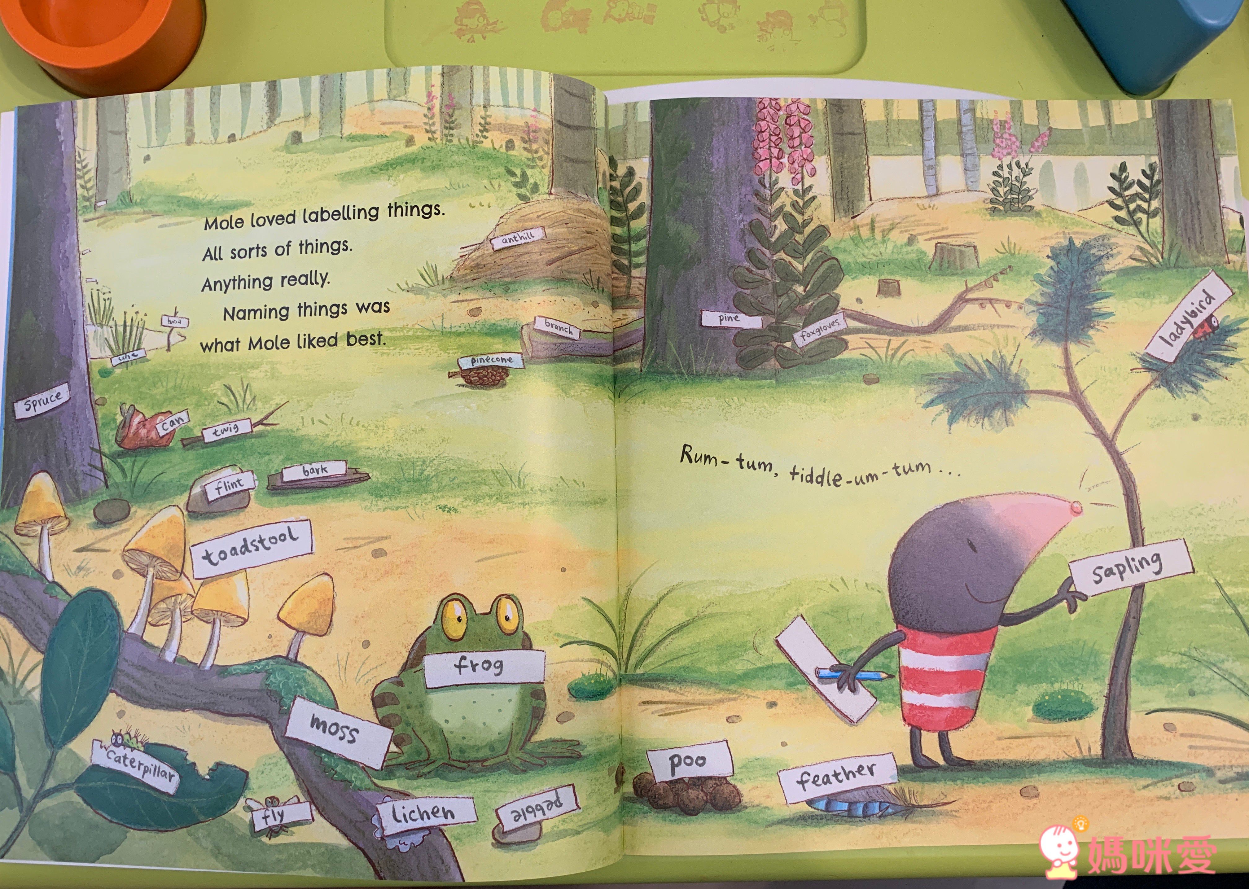 【最受歡迎的有聲英文書單】英文繪本10書＋10CD～大野狼熱銷缺貨款補貨到！