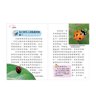 小學生最好奇的十萬個為什麼：昆蟲世界篇