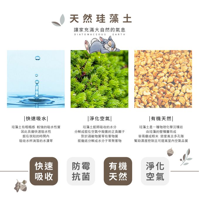 收納王妃 - 迪士尼 Disney 兔子系列【休息桑普】珪藻土軟式吸水洗漱墊 吸水墊 杯墊 台灣製造24X8X0.5cm