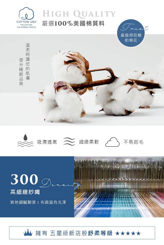 鴻宇 HongYew - 雙人兩用被套 300織美國棉 精梳棉-狐狸艾莉森-可可