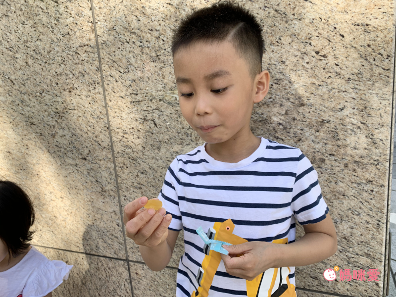 年前最後一團！【健康力】益暢敏益生菌 國家健康食品雙認證