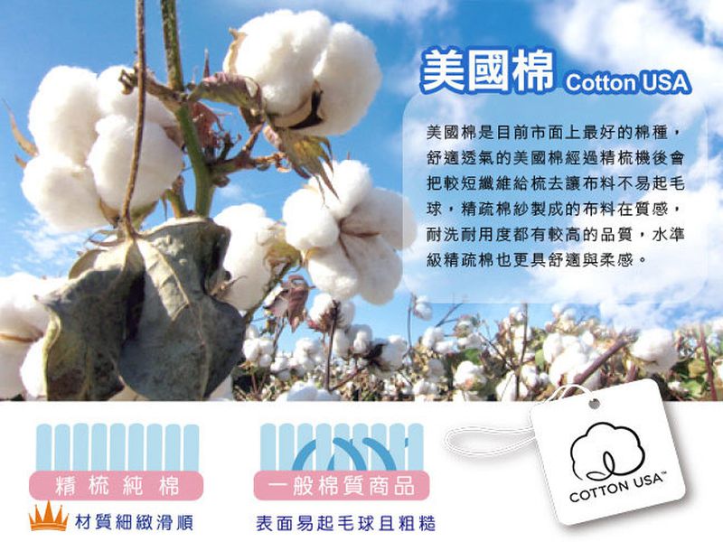 鴻宇 HongYew - 防螨抗菌100%美國棉兒童涼被-小白熊-2008-藍