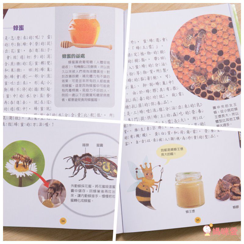 小牛頓【漫畫成語百科】語文＆科學一套搞定！看漫畫輕鬆學知識