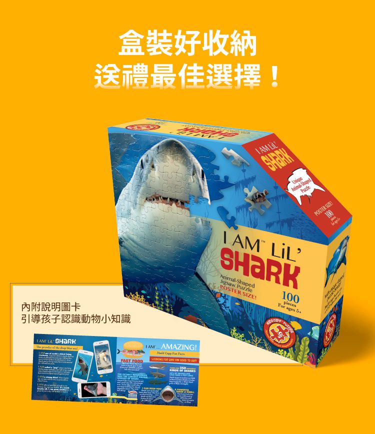 Madd Capp - I AM 動物拼圖-100,我是大白鯊