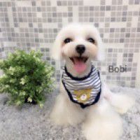 用戶頭像