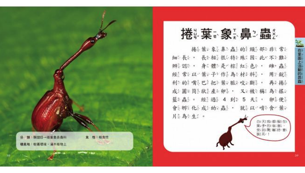 樂智屋 - 我的第一本昆蟲博士小百科NEW（內含小百科+12款昆蟲學習模型及3個配件）