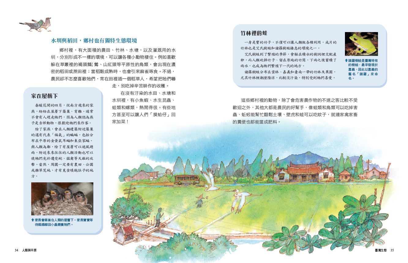 少年讀臺灣：臺灣生態