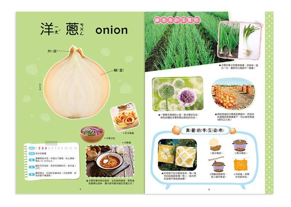 世一文化 - 地底蔬菜立體書