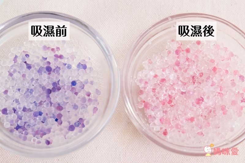 日本 DECOLE - 療癒環保除濕除臭擺飾(可重複使用)-打瞌睡 樹懶