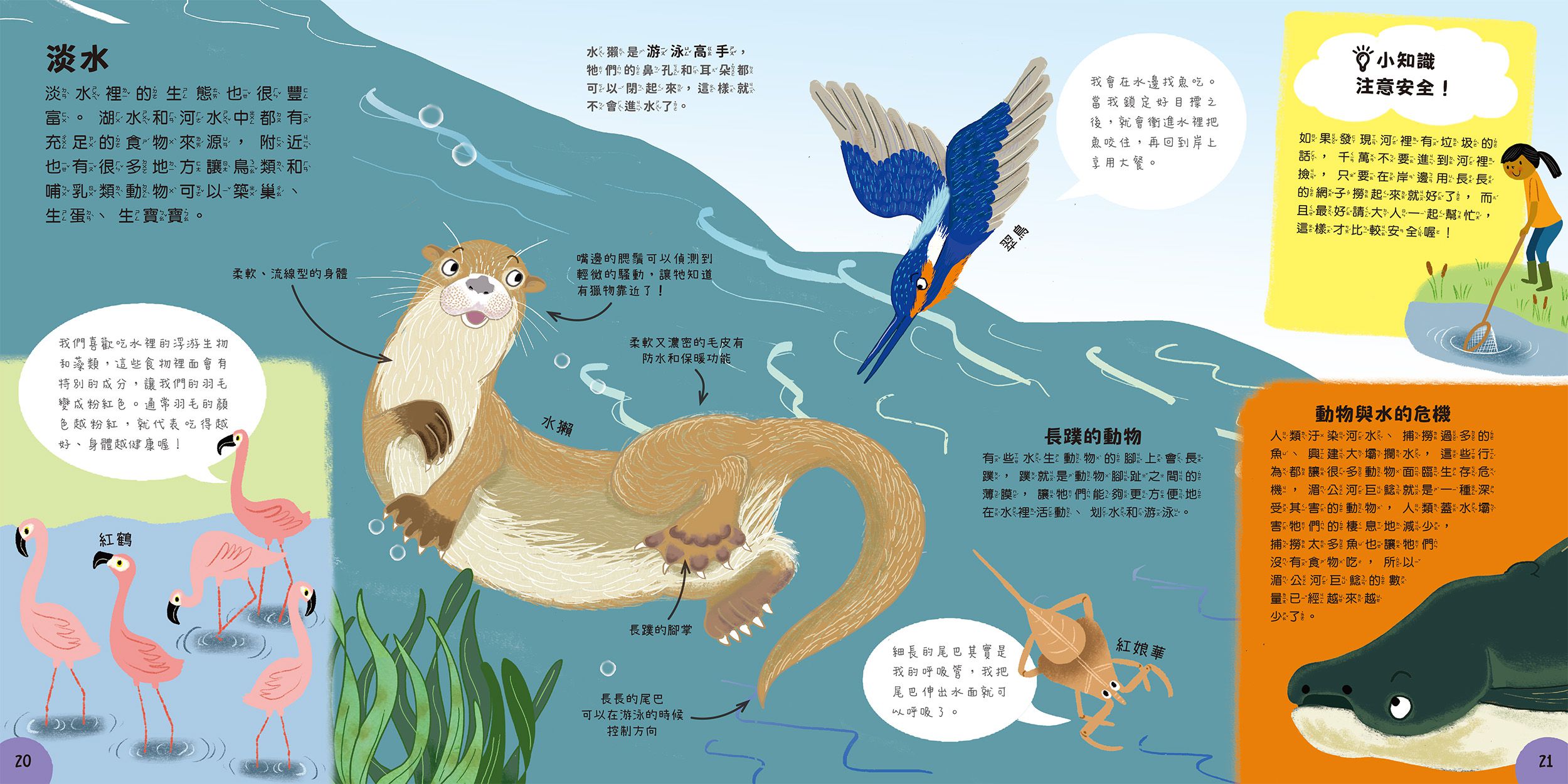 小小知識家的百科書套書10冊(書盒版)