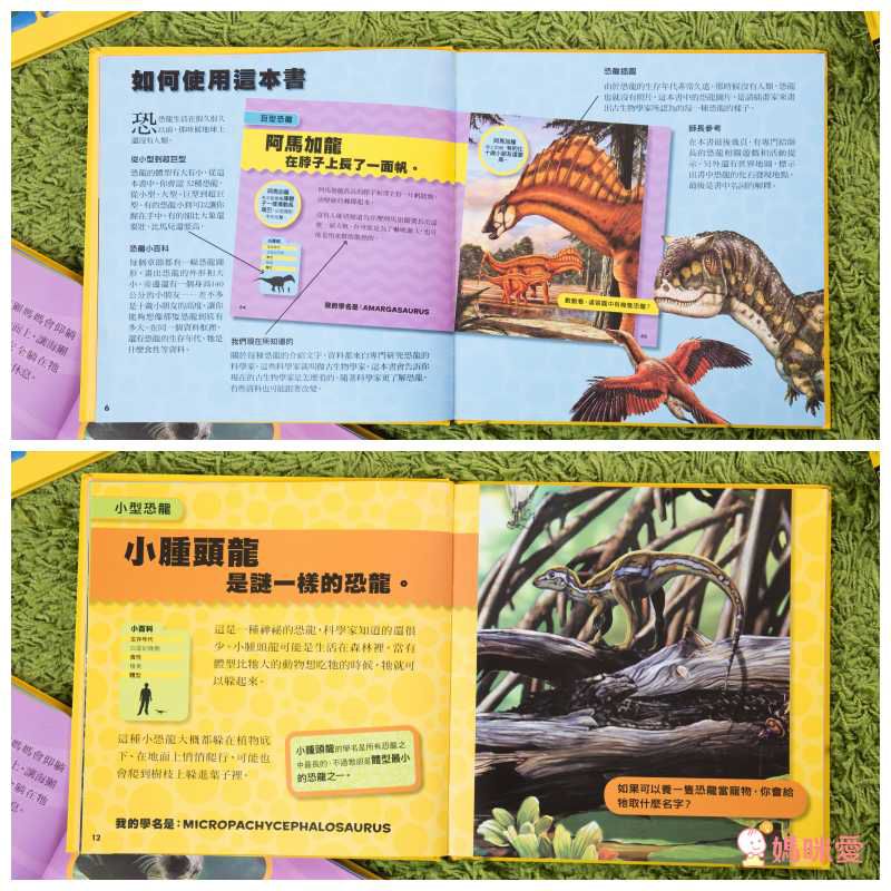 小小恐龍探險家 (精裝 / 128頁 / 全彩印刷)