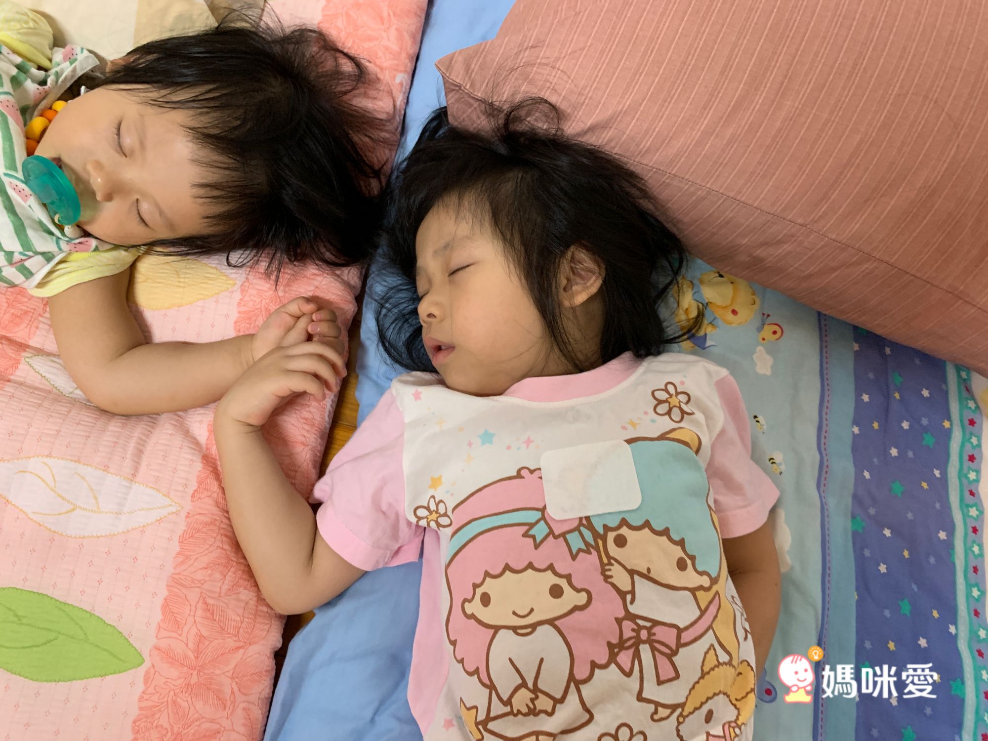 法新 FRESCO - 鼻樂貼-買1送2超殺特惠/義大利製造100%天然精油無藥性-5片裝*3盒 (有效期限至: 2022/9/1)