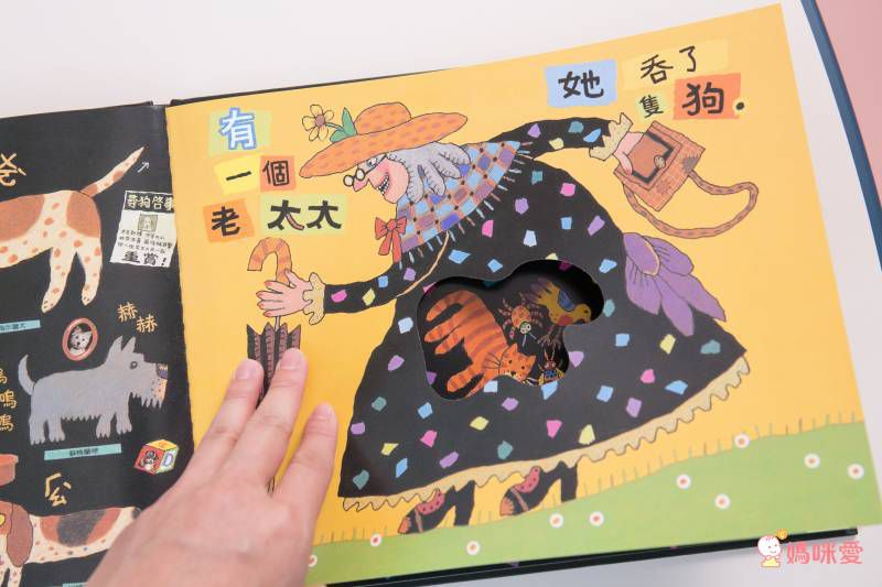 ♕ Miss Jill x Evan哥 專屬團購 ♕ 上誼童書